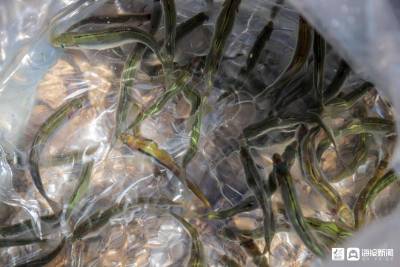 {{:物产:f636afc379310a555d4ce75eb74543a98226102b.jpg？direct&200|